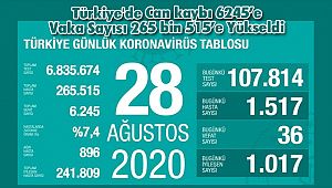 Türkiye'de Can kaybı 6245'e Vaka Sayısı 265 bin 515'e Yükseldi