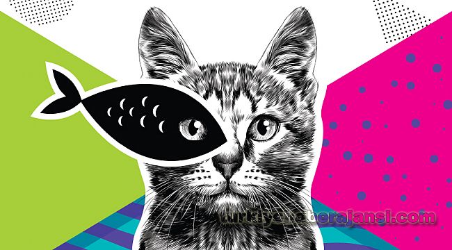 Felis Ödülleri İçin Başvurular Uzatıldı!