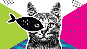 Felis Ödülleri İçin Başvurular Uzatıldı!