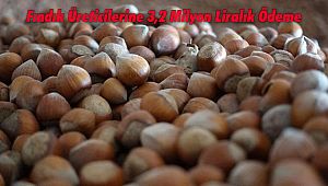 Fındık Üreticilerine 3,2 Milyon Liralık Ödeme