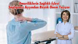 Omuriliklerin Sağlıklı İşlevi Sağlığımız Açışından Büyük Önem Taşıyor