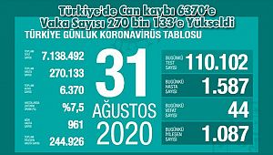 Türkiye'de Can kaybı 6370’e Vaka Sayısı 270 bin 133’e Yükseldi