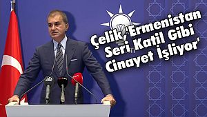 Çelik,'Ermenistan Seri Katil Gibi Cinayet İşliyor'