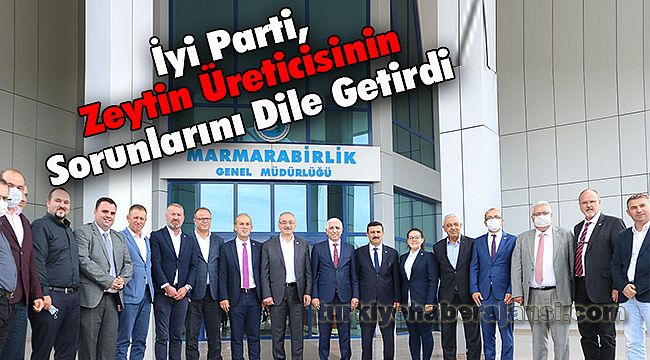 İyi Parti, Zeytin Üreticisinin Sorunlarını Dile Getirdi