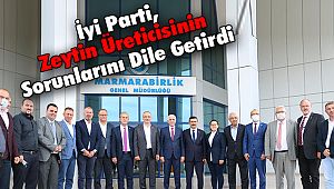 İyi Parti, Zeytin Üreticisinin Sorunlarını Dile Getirdi