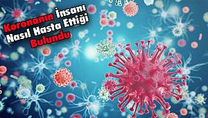 Koronanın İnsanı Nasıl Hasta Ettiği Bulundu