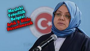 Mesleki Yeterlilik Belgesi Artık 6 Dilde Düzenlenecek