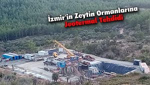 İzmir'in Zeytin Ormanlarına Jeotermal Tehdidi