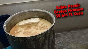 Sahte Peynir Üreten Firmaya 55 bin TL Ceza