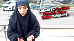 Sokaktaki Kedileri Keserek Yiyen Kadın Yakalandı