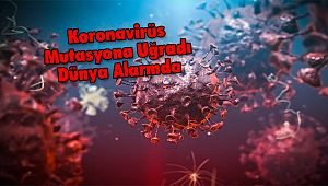 Koronavirüs Mutasyona Uğradı Dünya Alarmda