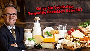 Süt ve Süt Ürünlerine, Turquality Destekleri Nelerdir?