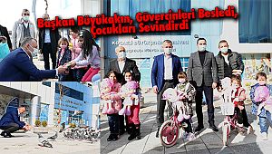 Başkan Büyükakın, Güvercinleri Besledi, Çocukları Sevindirdi