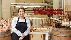 Küçük İşletmelere Ücretsiz BiSipariş