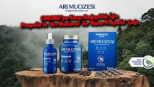 Propolis’te  'Arı Mucizesi' ile 'Nano Propolis' Çağı