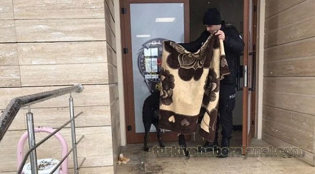 Kar Yağışında Üşüyen Köpeğe POLİS ŞEFKATİ