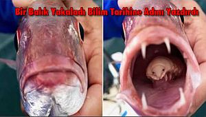 Bir Balık Yakaladı Bilim Tarihine Adını Yazdırdı