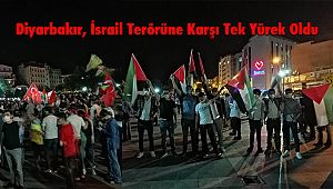 Diyarbakır İsrail Terörüne Karşı Tek Yürek Oldu