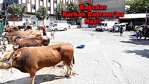 Bağcılar Kurban Bayramı’na Hazır
