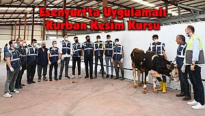 Esenyurt'ta Uygulamalı Kurban Kesim Kursu