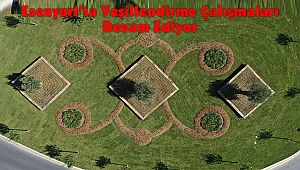 Esenyurt’ta Yeşillendirme Çalışmaları Devam Ediyor