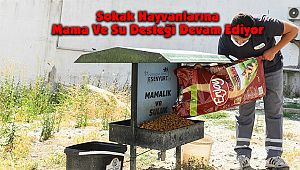 Sokak Hayvanlarına Mama Ve Su Desteği Devam Ediyor