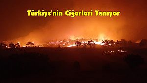 Türkiye'nin Ciğerleri Yanıyor
