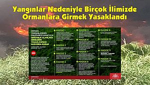 Yangınlar Nedeniyle Ormanlara Girmek Yasaklandı