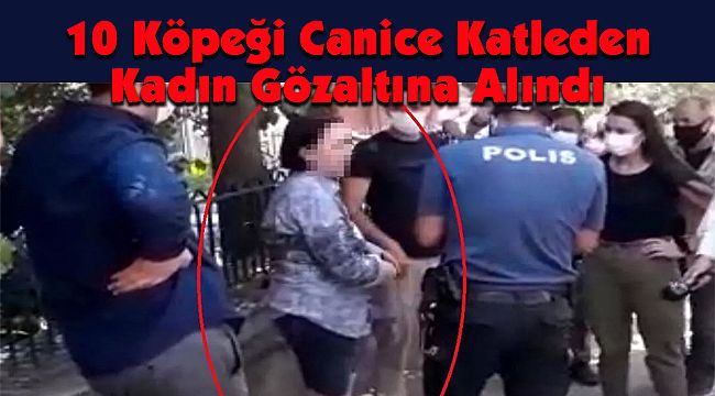 10 Köpeği Canice Katleden Kadın Gözaltına Alındı