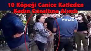 10 Köpeği Canice Katleden Kadın Gözaltına Alındı