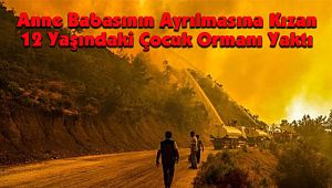 Anne Babasının Ayrılmasına Kızan Çocuk Ormanı Yaktı