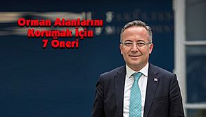 Orman Alanlarını Korumak İçin 7 Öneri