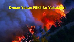 Orman Yakan PKK'lılar Yakalandı