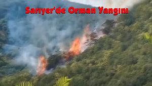 Sarıyer'de Orman Yangını