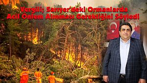 Vergili; Sarıyer'deki Ormanlarda Acil Önlem Alınması Gerektiğini Söyledi 