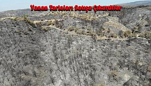 Yanan Tarlaları Satışa Çıkardılar