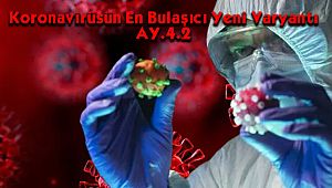 Koronavirüsün En Bulaşıcı Yeni Varyantı AY.4.2 