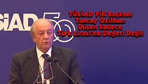 TÜSİAD YİK Başkanı Özilhan: Düşen Sadece Türk Lirası'nın Değeri Değil