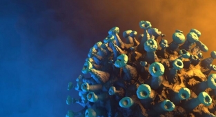 Omicron dünyayı ayağa kaldırdı! Nasıl bir tehlikeyle karşı karşıyayız? 10 SORU 10 YANIT