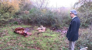 Sarıyer'de orman içinde kesilmiş atlara ait parçalar bulundu! Korkunç şüphe