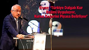 ‘Türkiye Dalgalı Kur Rejimi Uyguluyor, Kurun Değerini Piyasa Belirliyor’