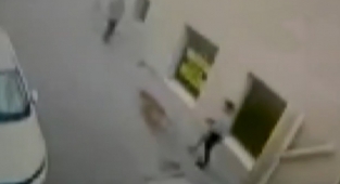 Asiye Ateş'ten Sonra Bir Pitbull Dehşeti Daha Yaşandı!