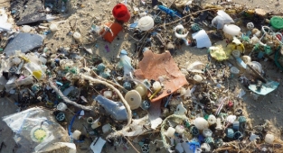 Bakanlık belirledi! İşte 2022'de çevreyi kirletenlere verilecek cezalar