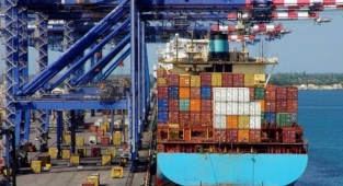 Ekimde ihracata yüksek birim fiyatı desteği