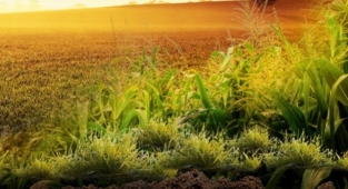 Gübre fiyatlarında indirim