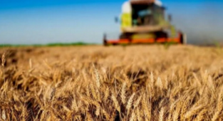 'Kırsal Kalkınmada Uzman Eller'e 600 Milyon TL Hibe