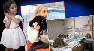 Pitbull saldırısına ilişkin görüntülerin bir kısmı silinmiş! Asiye Ateş'ten ilk kare