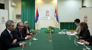 Şentop, Sırbistan Kültür ve Enformasyon Bakanı Gojkovic ile görüştü