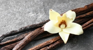 Türk markası vanilya 30 ülkeye ihraç ediliyor 