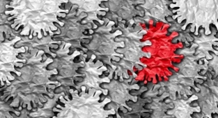 TURKOVAC'ı geliştiren Prof. Dr. Özdarendeli'den Delmicron açıklaması! Delmicron İçin ŞOK İddia!